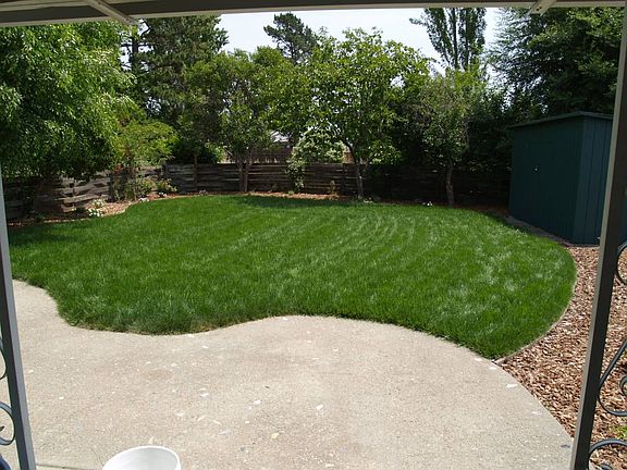 Over-sizes back yard! 