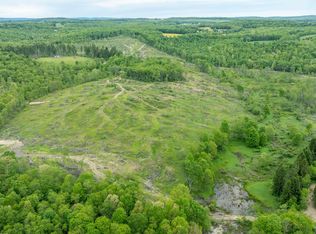 998 Hanlin Rd, Bruceton Mills, WV 26525