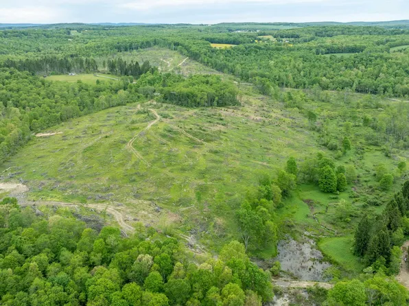 998 Hanlin Rd, Bruceton Mills, WV 26525