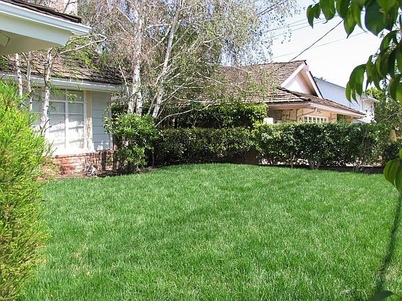 Front Lawn