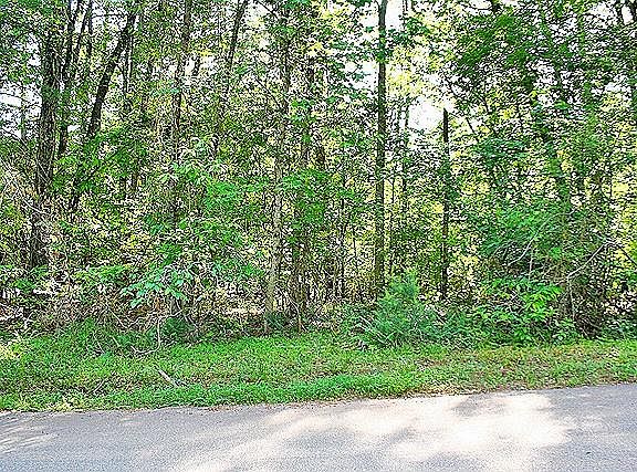 3rd image of 0 Rivermist Dr Lot 5