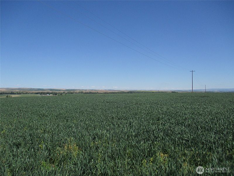 2nd image of 4285 Detour Road