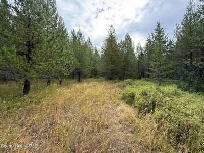 170 Buckeye Ln, Saint Maries, ID, 83861