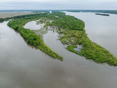 Mississippi Riv, Wever, IA, 52658