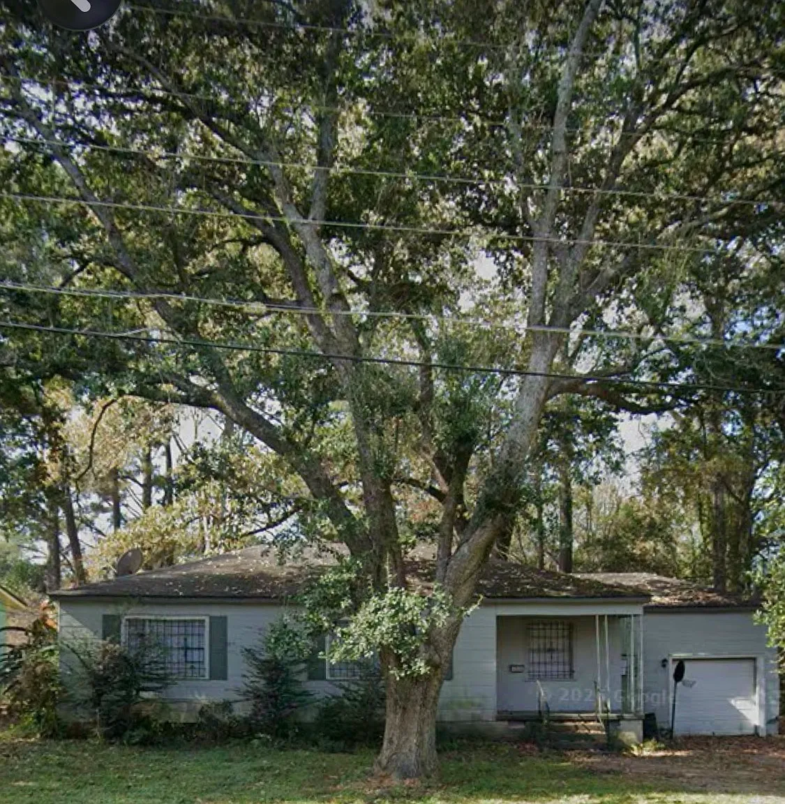 3 bed, 1215 sqft, $900 — Photo 3