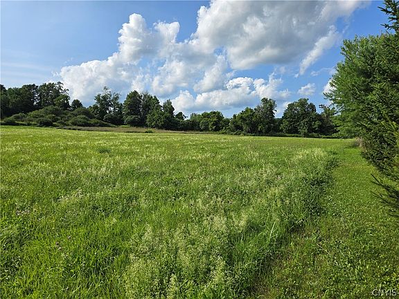 2nd image of Berry Rd Lot 7