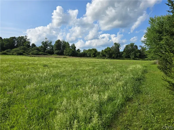Berry Rd Lot 7, La Fayette, NY 13084