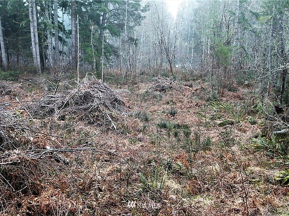 2nd image of 0 Tr 5 Catfish Lake Road