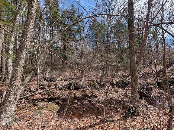4th image of Map 41 Lot 21 Jewett Road