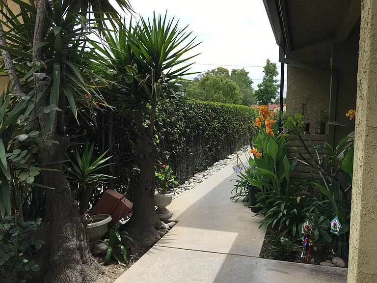 119 W Live Oak St #G — Photo 23