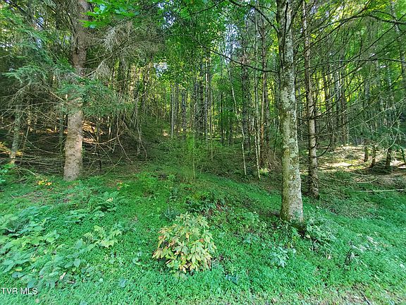 4th image of 12 Laurel Highlands Rd #12