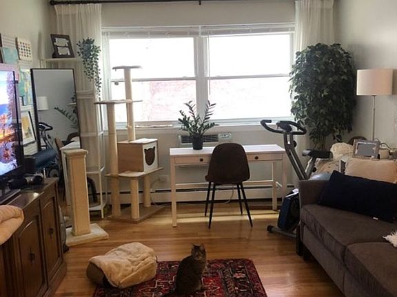 5th image of 468 W Melrose St #350
