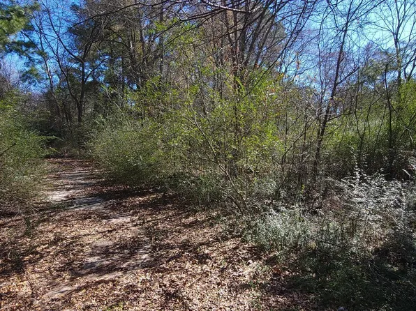 Browne St, Kilgore, TX 75662