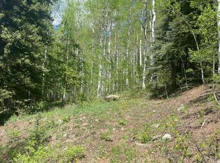 S Silver St, Rico, CO 81332