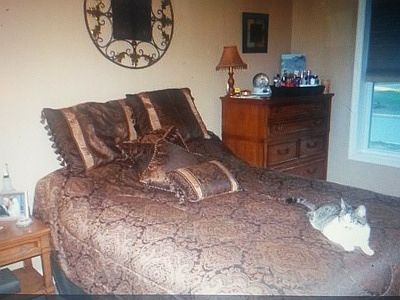 4th image of 429 Godfrey Ln