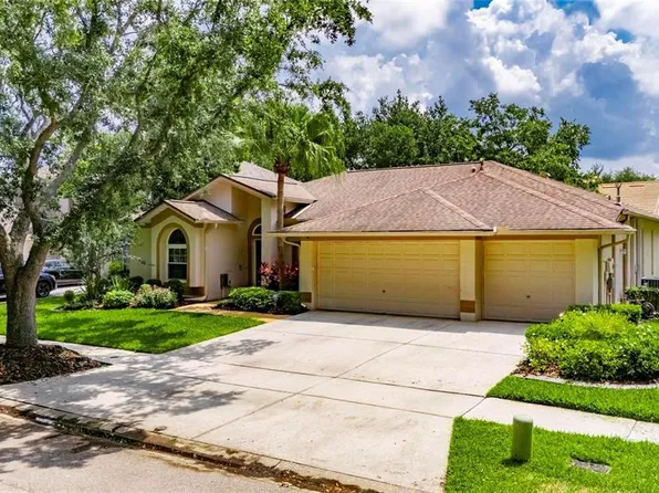 17711 Hampshire Oak Dr, Tampa, FL 33647