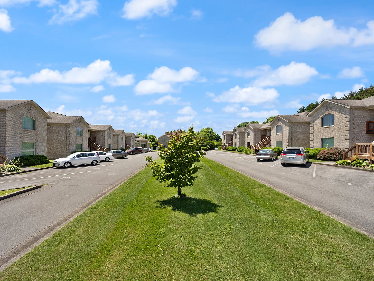 1 bed, 790 sqft, $900 — Photo 4