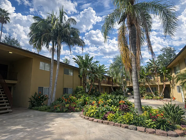 Palm Vista Apartments — Photo 6