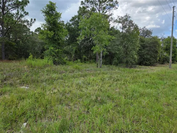 0000 SE STATE ROAD 121 LOT 4, WILLISTON, FL 32696