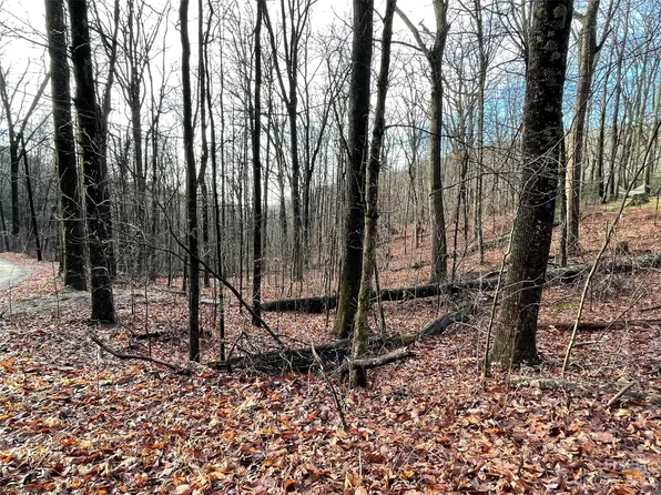 0 Hickory Acres Rd #40 & 41, Hendersonville, NC 28792