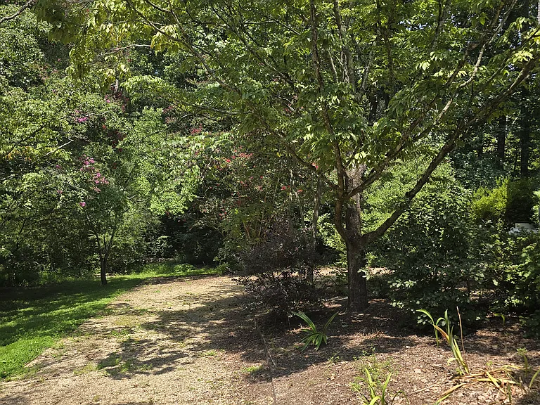 8273 Pond View Dr — Photo 12