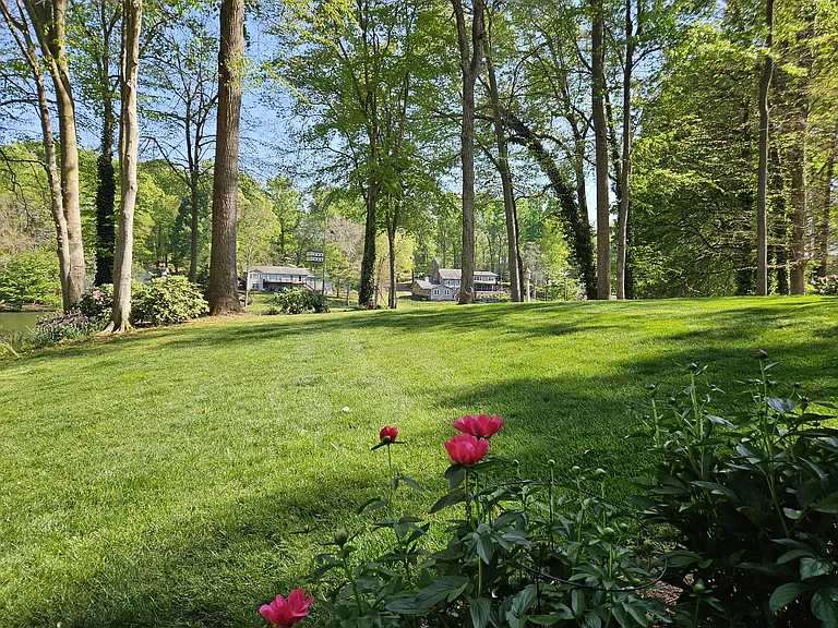Back yard view