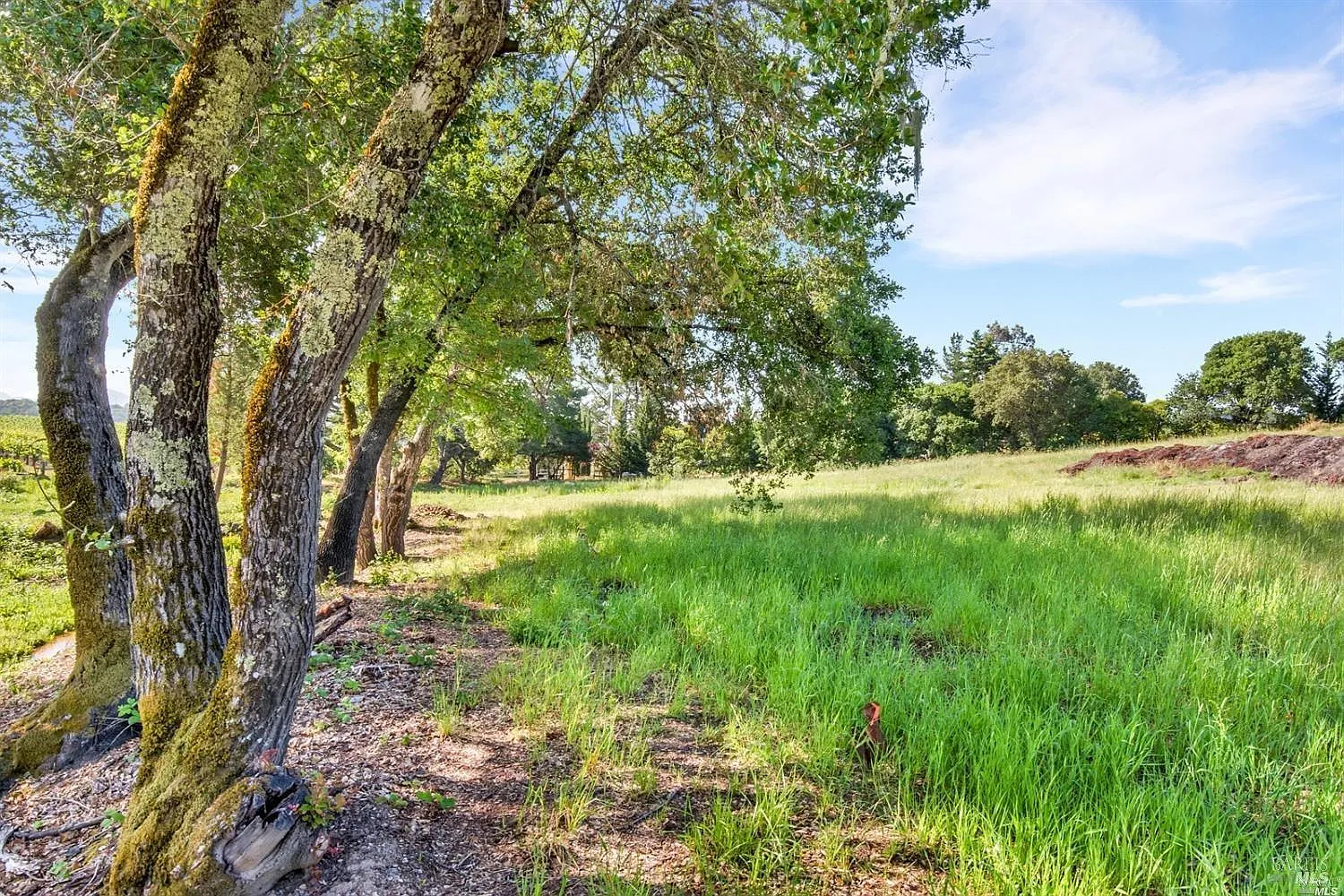 1100 Lytton Springs Road - Photo 2