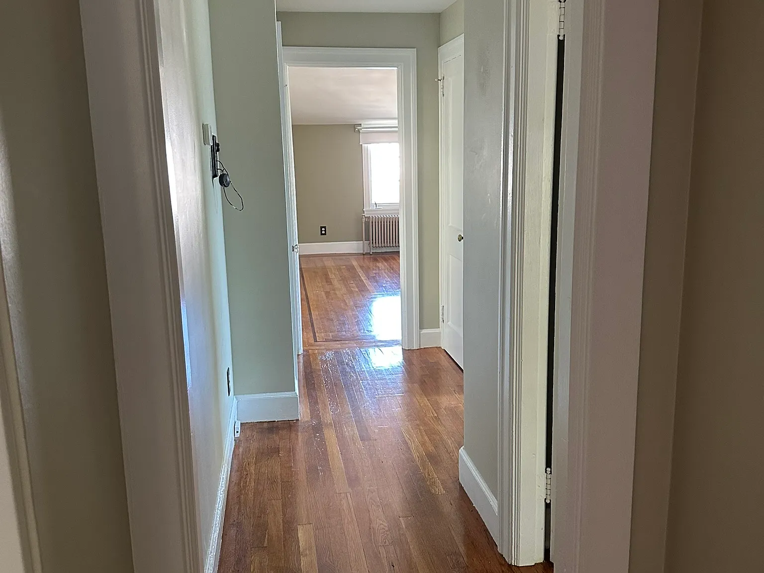 1 bed, 900 sqft, $1,300 — Photo 3