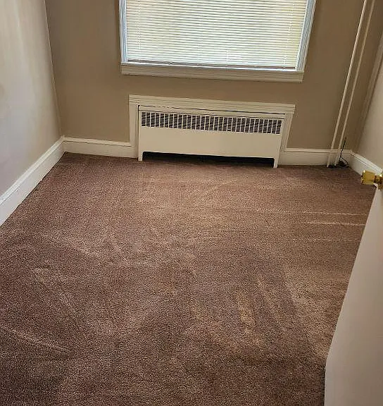 124 Mount Holly Ave #1 — Photo 6