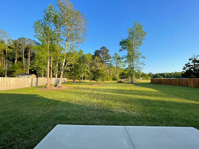 View of the backyard
