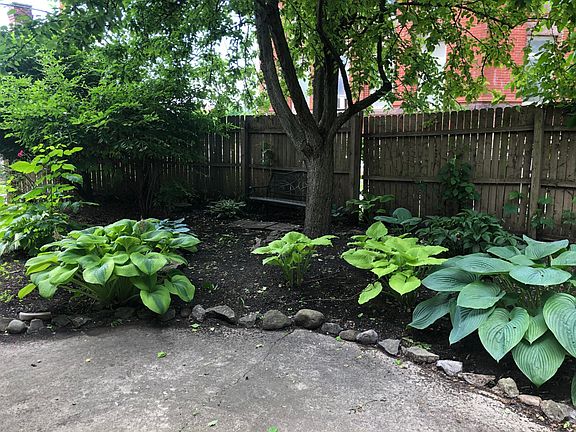 2nd image of 29 N 22nd St #5