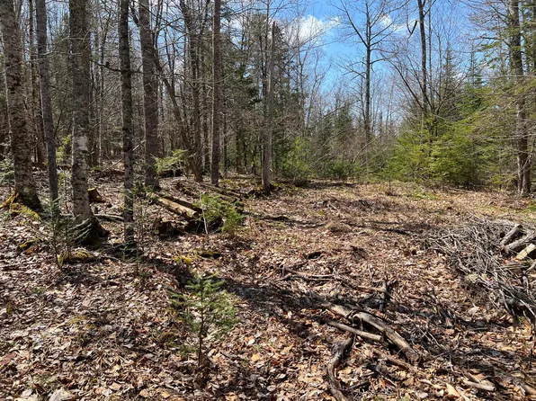 0 Hunk Sawyer Road, Bucksport, ME 04416