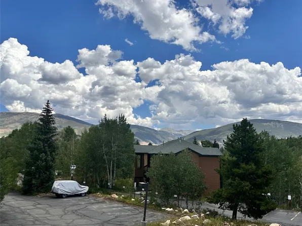 101 Ryan Gulch Court UNIT 103, Wildernest, CO 80498
