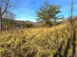 521 Hannah Cove Rd, Canton, NC 28716