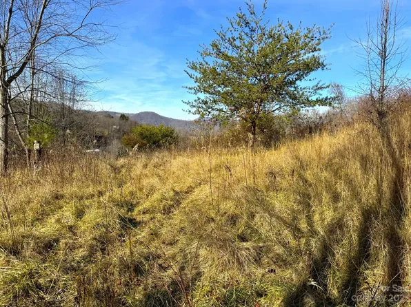 521 Hannah Cove Rd, Canton, NC 28716