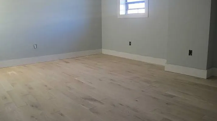 Rented by P Management | media 24