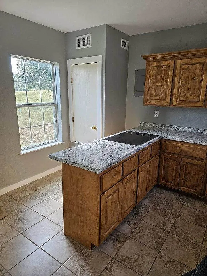 1 bed, $1,000 — Photo 2