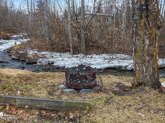 3rd image of 18146 Kantishna Dr