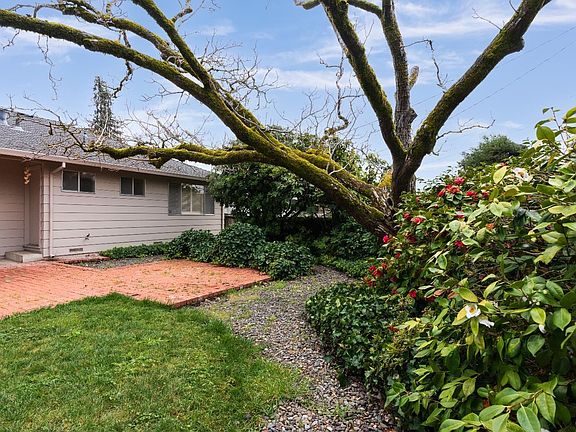 4th image of 2435 Thomas Drive