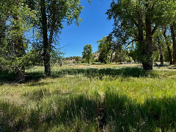 3rd image of 769 & 784 Bareback Ln