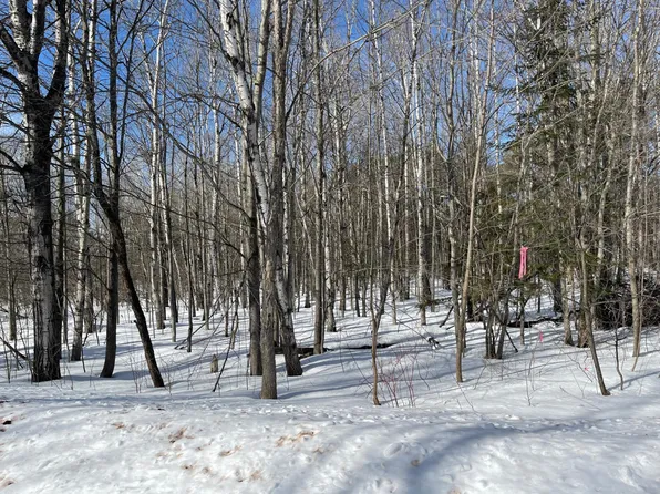 8 Powder Dl, Ironwood, MI 49938