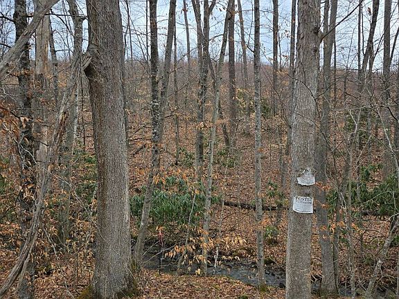 3rd image of 0 Stanadord Rd Tract 3