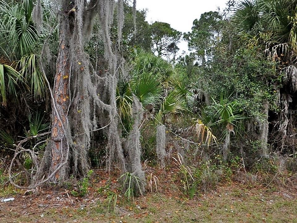 2nd image of Shady Ave Lot 29