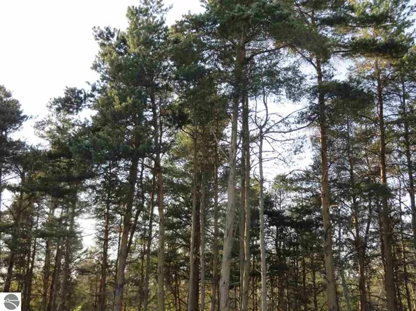 NULLA Spruce Hollow Trce, Fife Lake, MI 49633