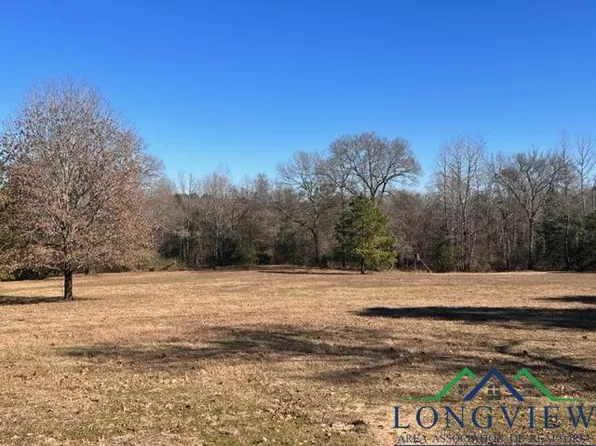 1601 County Road 1582, Avinger, TX 75630