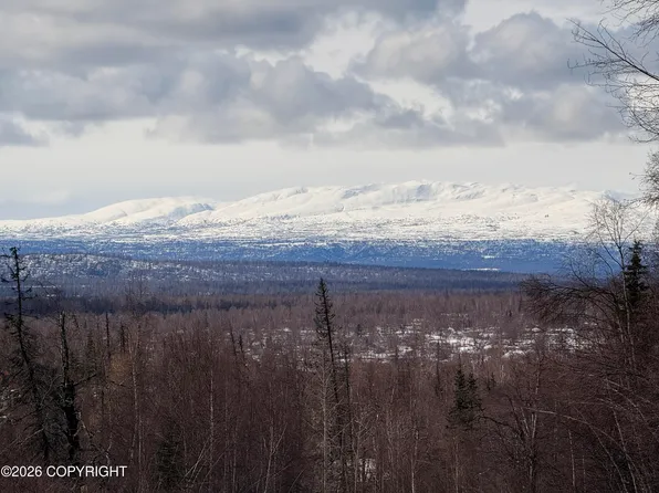 A014 E Chief Nicolai Ln, Talkeetna, AK 99676