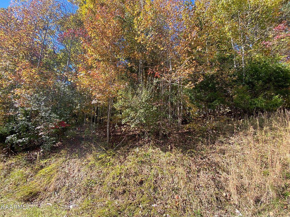 1st image of Pin Oak Dr