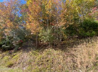 Pin Oak Dr, Rockwood, TN 37854
