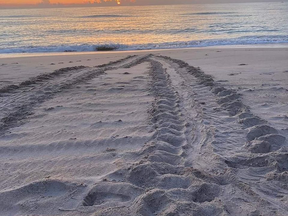 1st image of 6355 S Highway A1a APT 6