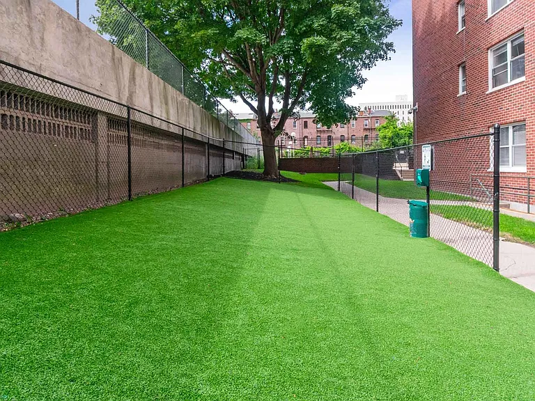 Dog park